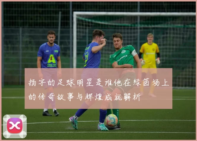 扬字的足球明星是谁他在绿茵场上的传奇故事与辉煌成就解析
