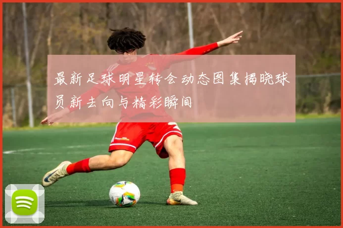 最新足球明星转会动态图集揭晓球员新去向与精彩瞬间
