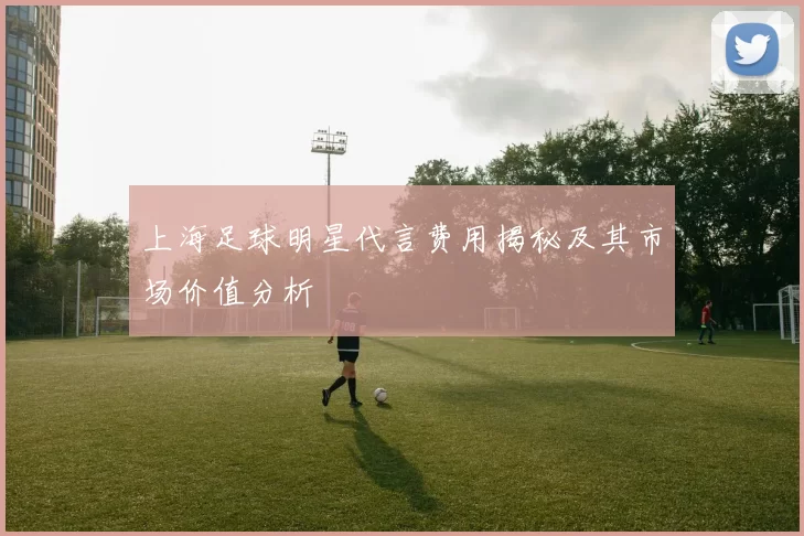 上海足球明星代言费用揭秘及其市场价值分析