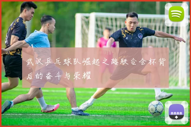 武汉乒乓球队崛起之路联合会杯背后的奋斗与荣耀