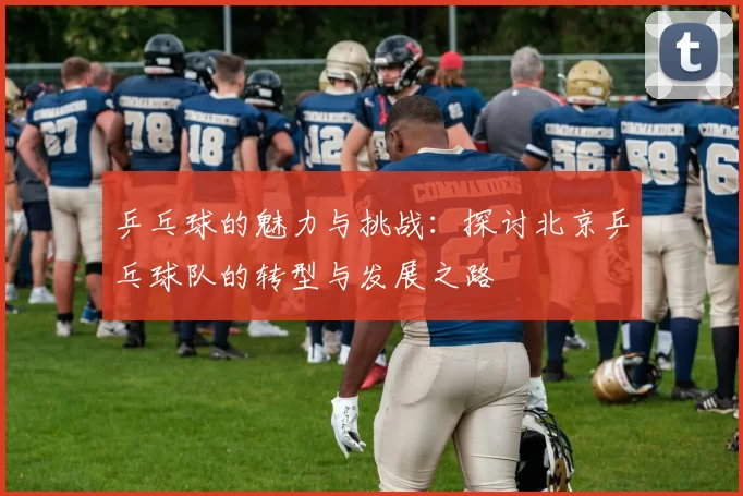 乒乓球的魅力与挑战：探讨北京乒乓球队的转型与发展之路