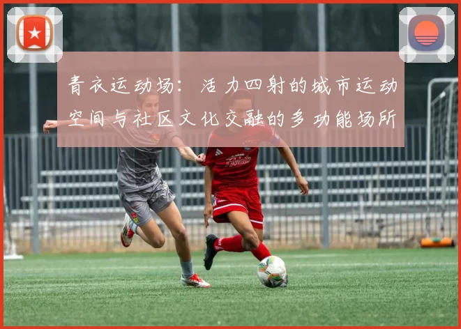 青衣运动场：活力四射的城市运动空间与社区文化交融的多功能场所
