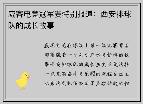 威客电竞冠军赛特别报道：西安排球队的成长故事